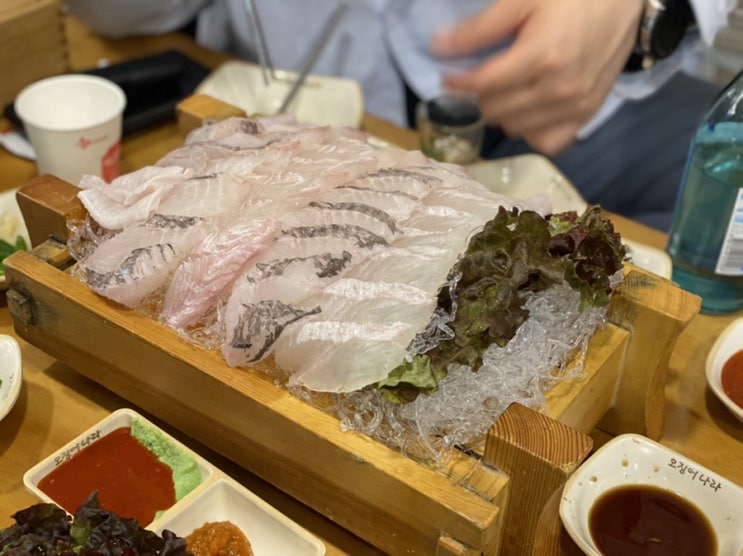  [ 노량진 횟집 ] 오징어나라