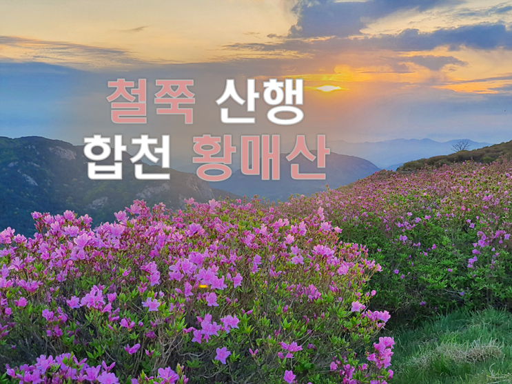  합천 황매산 철쭉 등산 코스 합천가볼만한곳