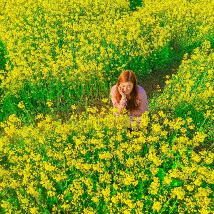  드림큐로 시작해야 하는 이유