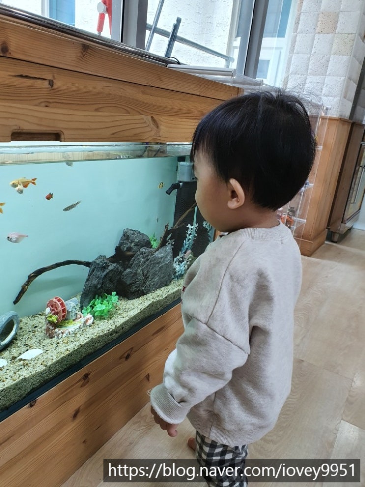  15개월 우리 아기 일상 생활