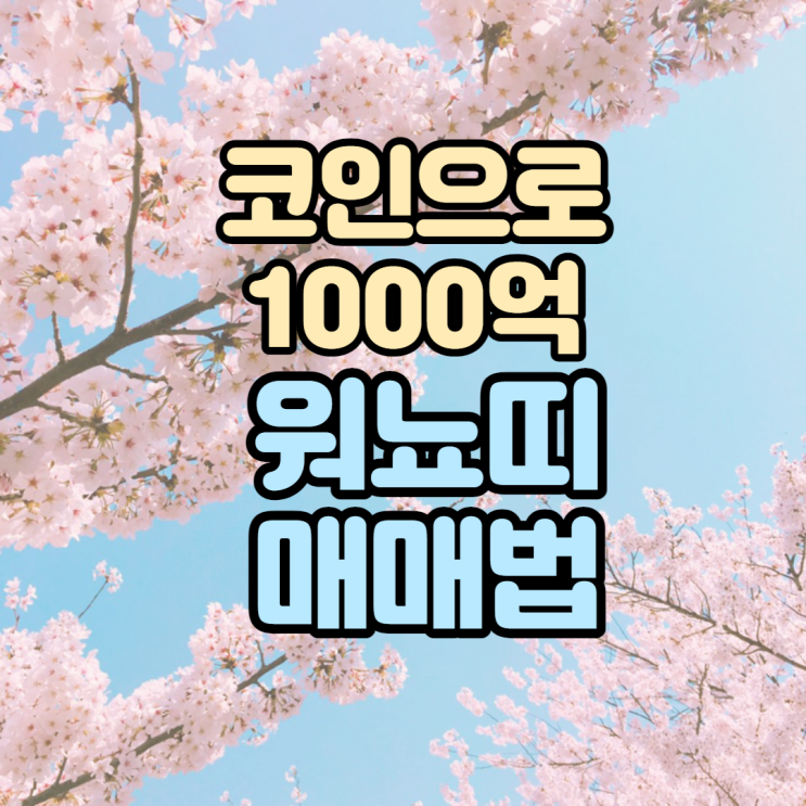  코인으로 1000억 번 워뇨띠 매매법 알아보자