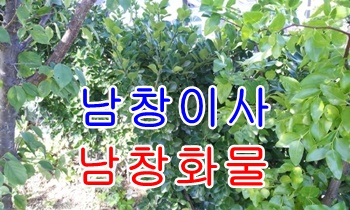 남창용달 덕하 진하 편리해요.