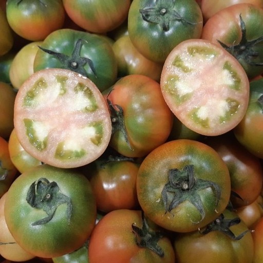 구매평 좋은 매일농원 365 에브리데이 부산 대저 짭짤이 토마토, 1박스, 1. 대저 짭짤이 토마토 2.5kg/소과 추천합니다