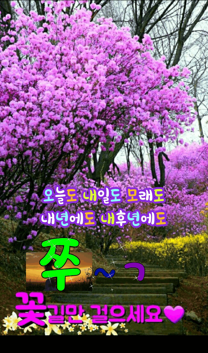 젊었을 적 내 향기가 너무 짙어서 남의 향기를 맡을 줄 몰랐습니다