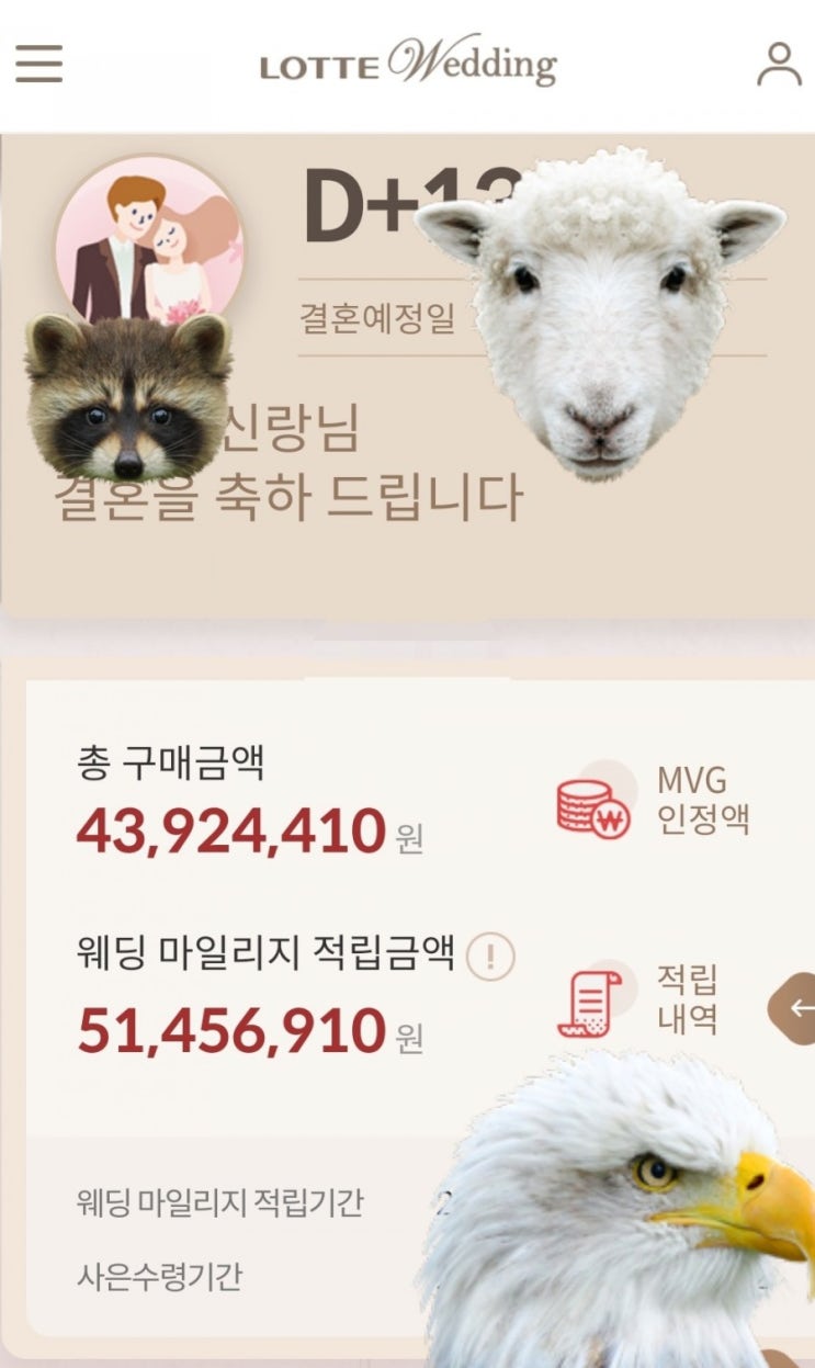  백화점 웨딩마일리지 포인트 정보 #롯데백화점웨딩마일리지 혜택 기간 팁 #웨딩마일리지후기