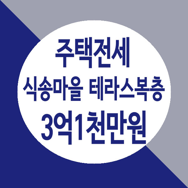  별내 식송마을 구조 좋고 채광좋은 쓰리룸 테라스 복층 전세