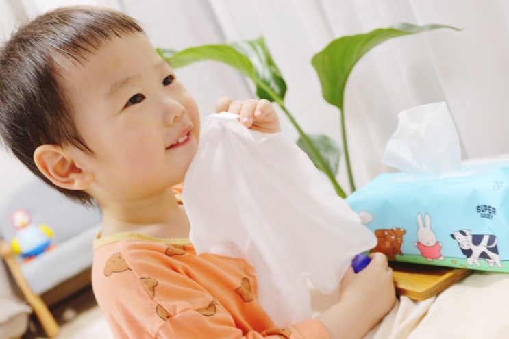  2021 첫 한정판 물티슈 75gsm 도톰 신축년 에디션 미피물티슈 윌리엄벤틀리 고평량 슈퍼대디물티슈