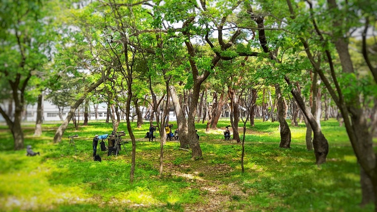 경주 산책하기 좋은 곳이며 사진 명소인 황성공원