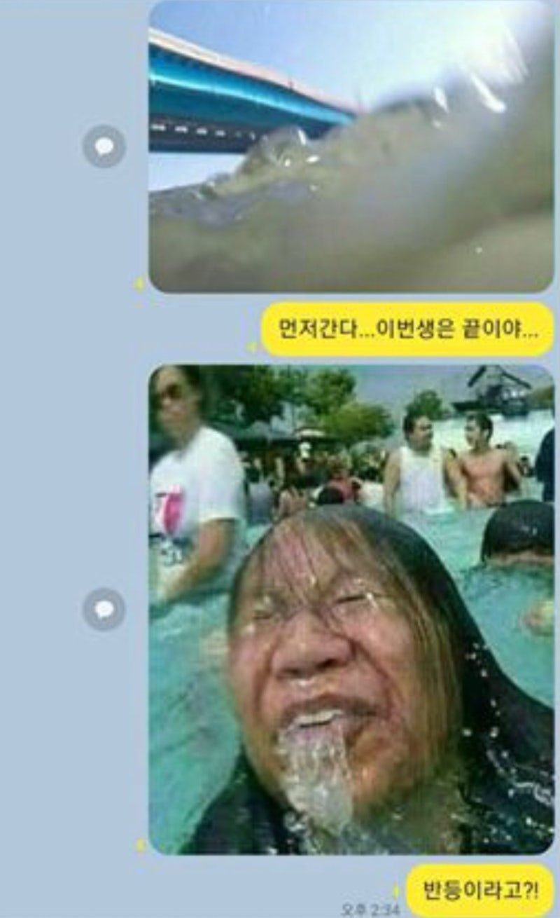 코인 주식 폭락장 대비 한강 짤 천호진 소주 짤 모음.gif : 네이버 블로그