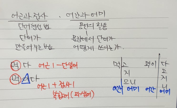  어근과 접사, 어간과 어미
