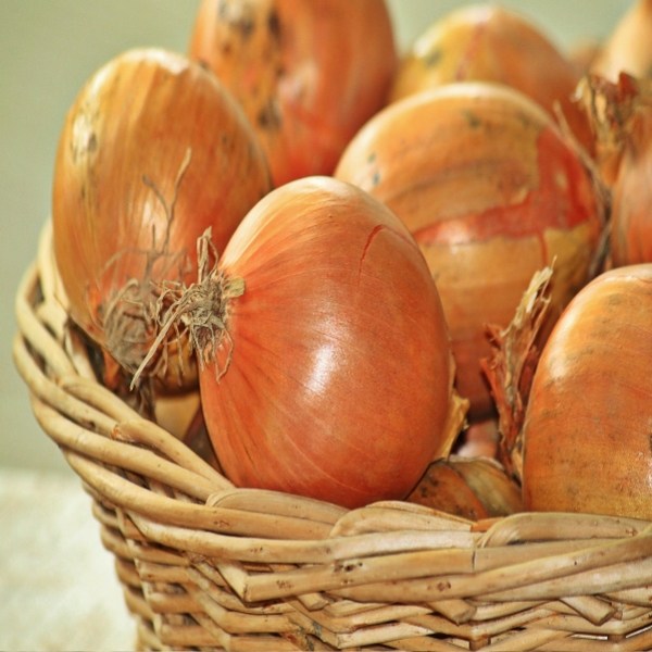 리뷰가 좋은 농부갑부 합천 햇양파 1kg(중상 150g이상), 1박스, 1kg ··· 리뷰가 좋은 농부갑부 합천 햇양파 1kg(중상 150g이상), 1박스, 1kg ···