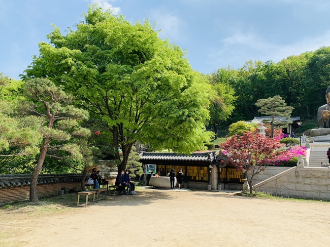  [봄 산책 기록]병을 낫게 해주는 파주 심학산 약천사