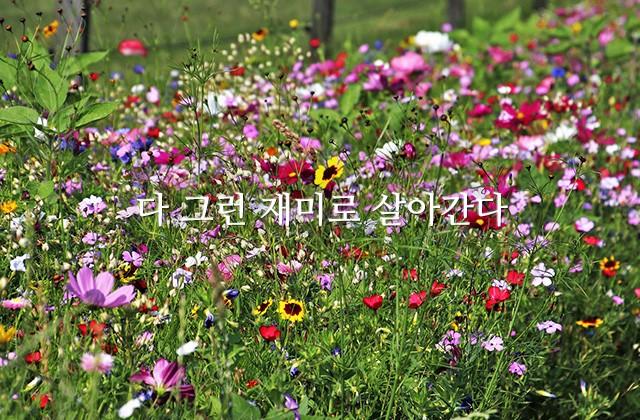  MasterZerOnE 과 함께 하는 좋은 글 / 글귀 공유