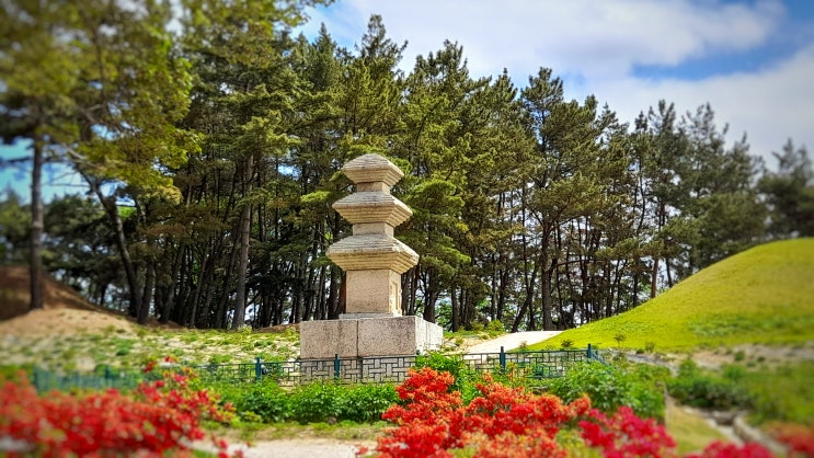  경주 가볼만한 곳 추천, 고즈넉한 서악 고분군