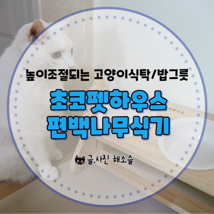  높이 조절 가능한 고양이식탁과 밥그릇, 초코펫하우스 편백나무식기로 바꿔봤어요~