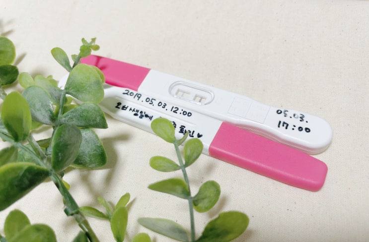 임신극초기증상 7가지와 임신초기 조심해야할 것