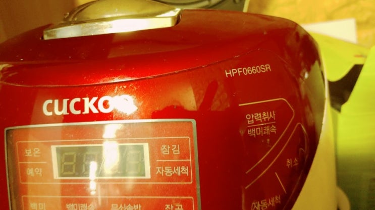  쿠쿠 5년 사용기 쿠쿠 쿠첸 비교 밥유통기한 쌀밥보관