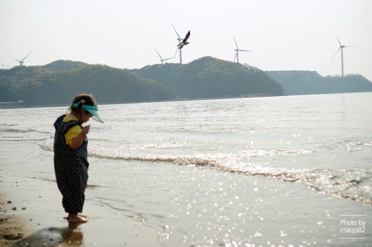  영흥도 펜션 바다가 바로 코앞에 펼쳐져 있는 아이엠펜션