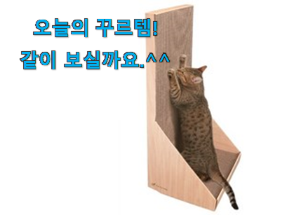 요즘 사람들이 자주찾는 갖고싶은 고양이 스크래쳐 클릭 이건 꼭 보세요. 안사곤 못배기겠어요 ㅋㅋ 요즘 사람들이 자주찾는 갖고싶은 고양이 스크래쳐 클릭 이건 꼭 보세요. 안사곤 못배기겠어요 ㅋㅋ