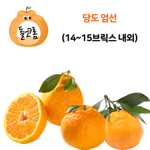 선호도 좋은 [유나네 과수원] 고당도 하우스 한라봉 2kg 3kg 5kg, 한라봉 2kg 소과 ···