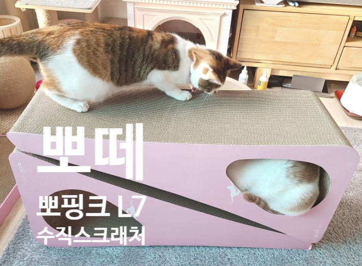  뽀떼 뽀핑크 고양이 수직 스크래쳐 L7 2p