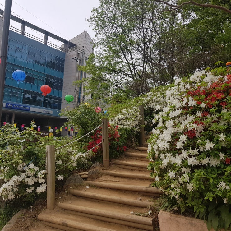  아차산 등산코스 둘레길 가볼까요?