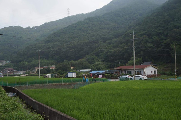  경남 창원 양촌계곡  마산 물놀이 가기 좋은곳, 자연 경관 구경하기
