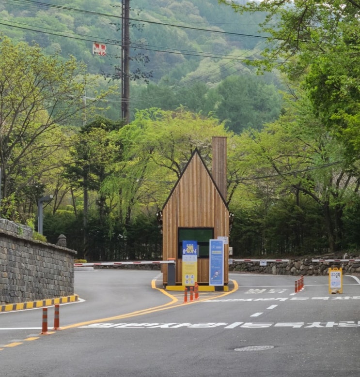 가평 가볼만한 곳, 국립 유명산 자연휴양림