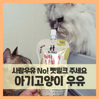  새끼고양이 우유 먹이기, 사람우유 말고 펫밀크 주세요 (f. 아기고양이 간식)