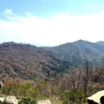  비슬산등산 유가사코스 대견사