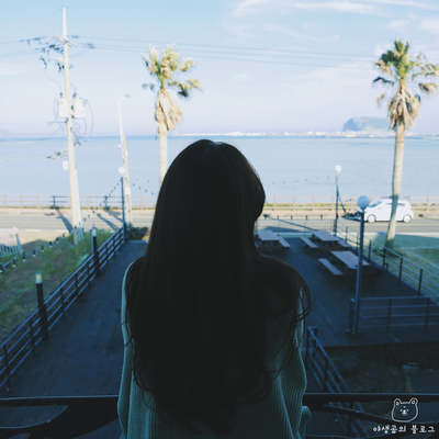  제주성산펜션 :: 애견동반 가능한 솔펜션 제주오션뷰펜션 으로 추천