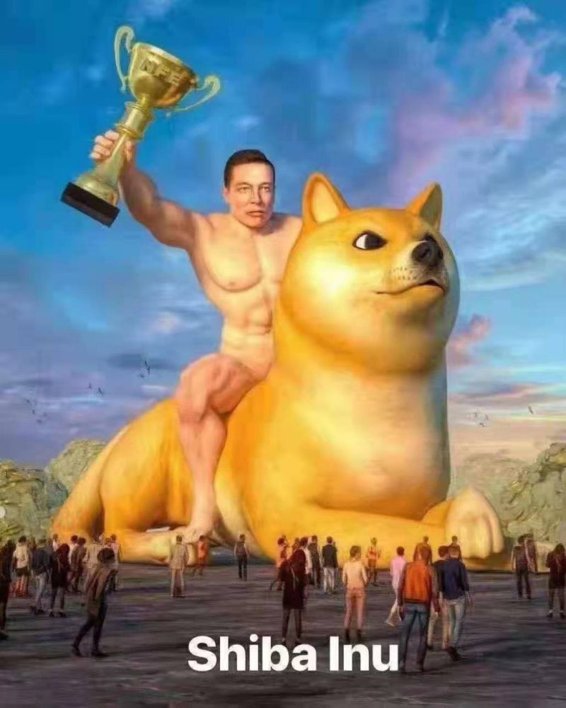 광기의 비트코인/가상화폐 해학의민족 코인관련 짤/도지코인짤 : 네이버 블로그
