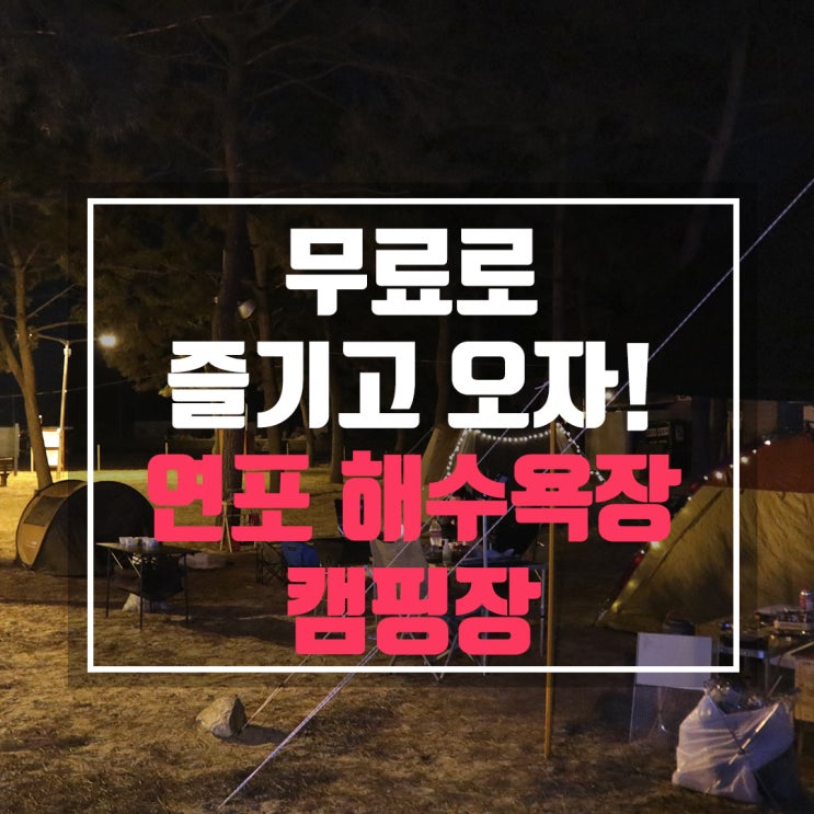 연포 해수욕장 캠핑 입장료가 없어요