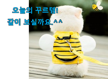 국민템이 확실 한거같아요. 놀라운 꿀벌 하네스 확실한 꿀템 찾았어요! 지인도 좋아해요. 국민템이 확실 한거같아요. 놀라운 꿀벌 하네스 확실한 꿀템 찾았어요! 지인도 좋아해요.