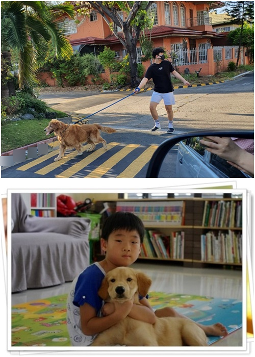  알라방 홈스테이 Sky 이가 Andy 형아를 산책 시키는 중???