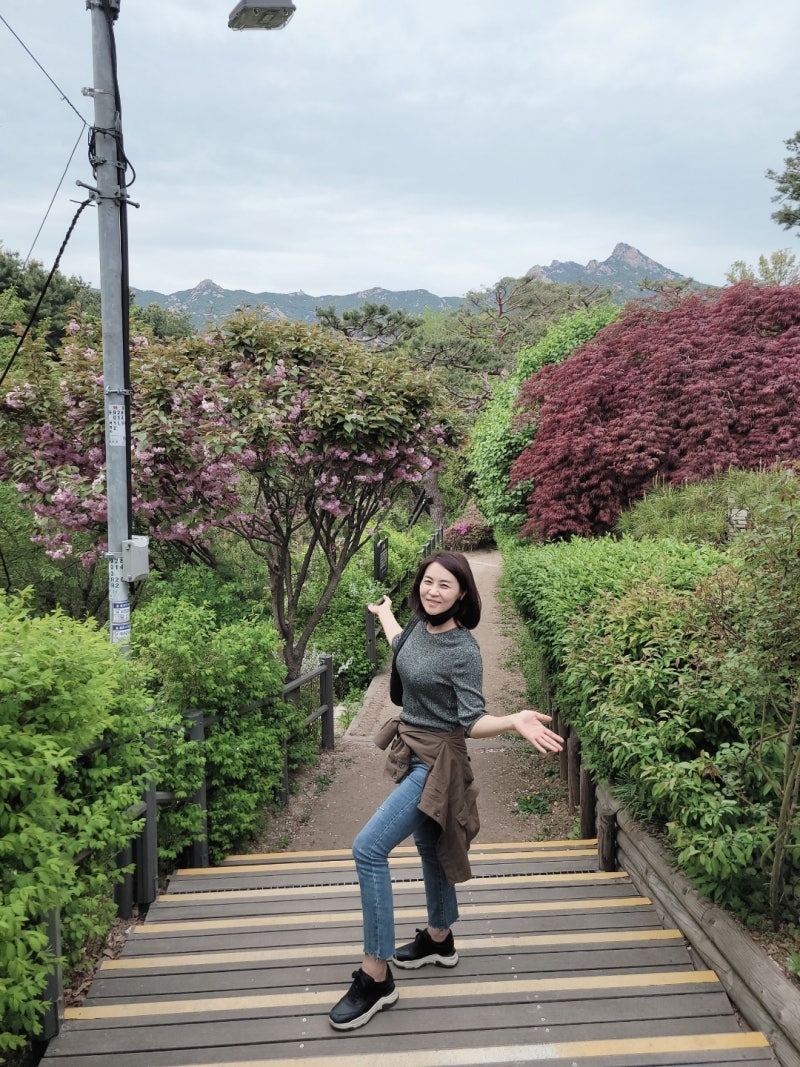 만보걷기효과, 만보걷기 칼로리, 만보걷기 잘 하는 방법... 만보, 이만보 걷는 문성실...^^ : 네이버 블로그