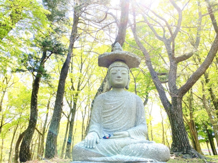  제주 산책코스 관음사