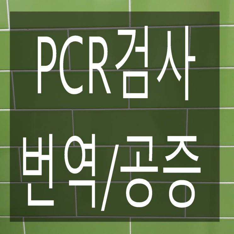  코로나 PCR 음성확인서( PCR检测阴性证明) 중국어 번역, 공증