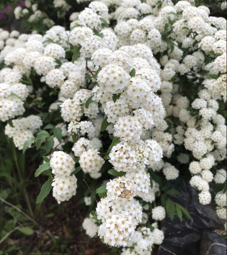  나만의 알찬 하루 만들기 프로젝트 (33일차)