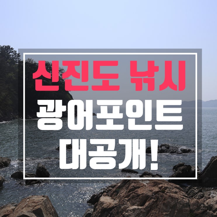  신진도 낚시 포인트! 광어 잡아가세요