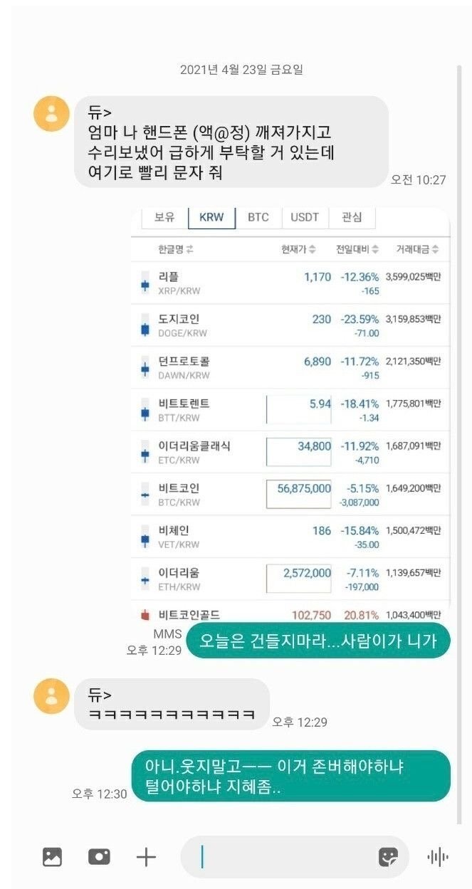  피싱 사기꾼에게조차 비웃음당하는 처지