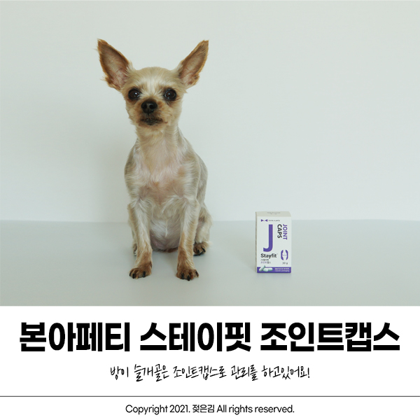 강아지 슬개골이 걱정된다면 본아페티 조인트캡스를 급여해요