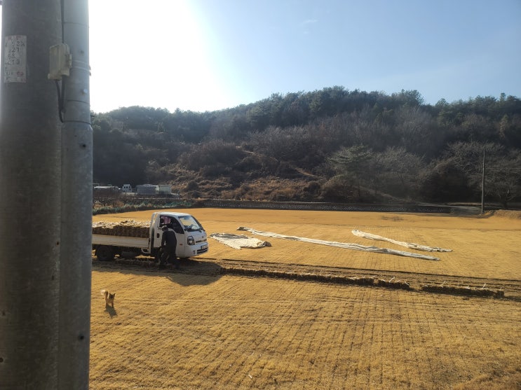  산소용 토종 잔디 작업했어요