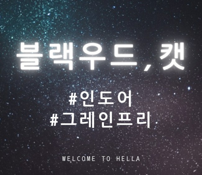  【 블랙우드-캣 】인도어, 그레인프리 사료 저도 먹여봤어요~~