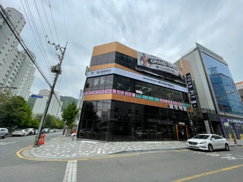 사진 2