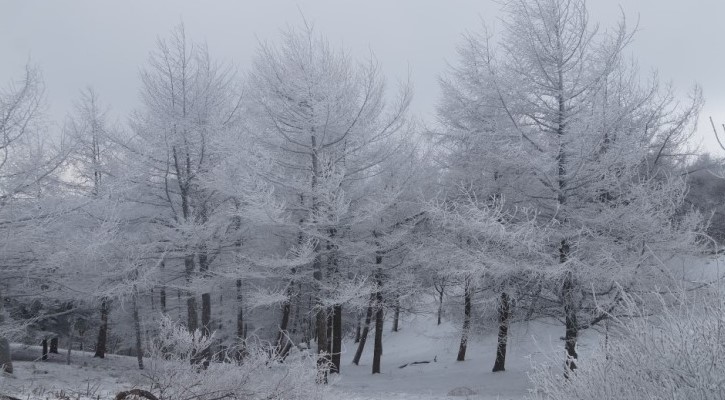 지리산 바래봉 눈꽃산행
