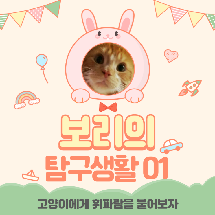  고양이들은 휘파람 소리에 반응을 할까? [with 몽치챌린지]
