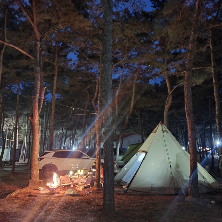 봄에는 캠핑이지 ~ 캠핑은 좋고 텐트 정리는 싫ㅇ ..ㅓ