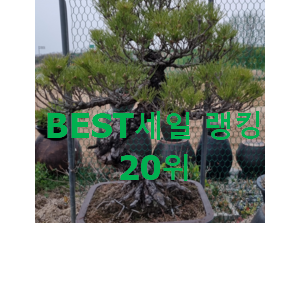 믿고쓰는 소니므 꿀템 인기 성능 랭킹 20위 믿고쓰는 소니므 꿀템 인기 성능 랭킹 20위
