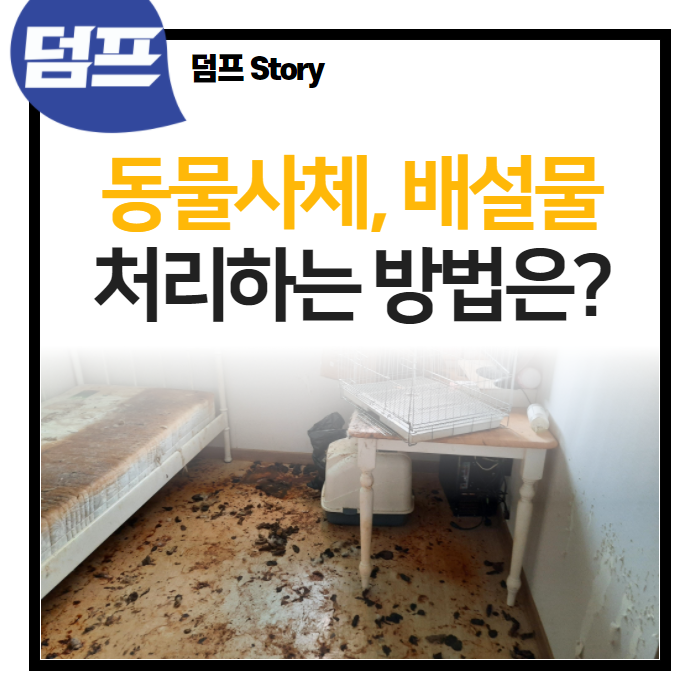  동물 사체처리, 반려동물 배변 청소 덤프로 해결하세요?